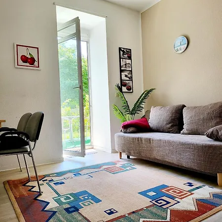 Vogtland Apartment *